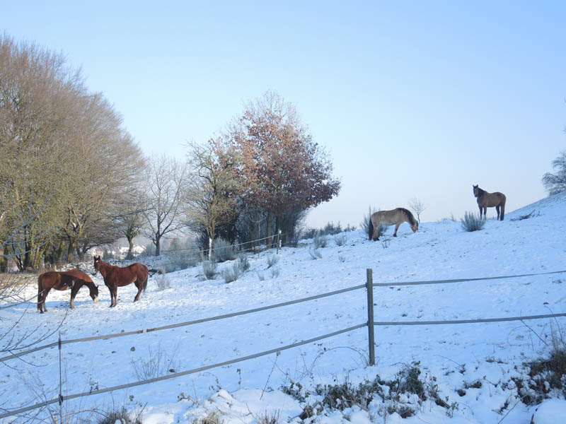 gite-varsberg-geisberg-neige-1
