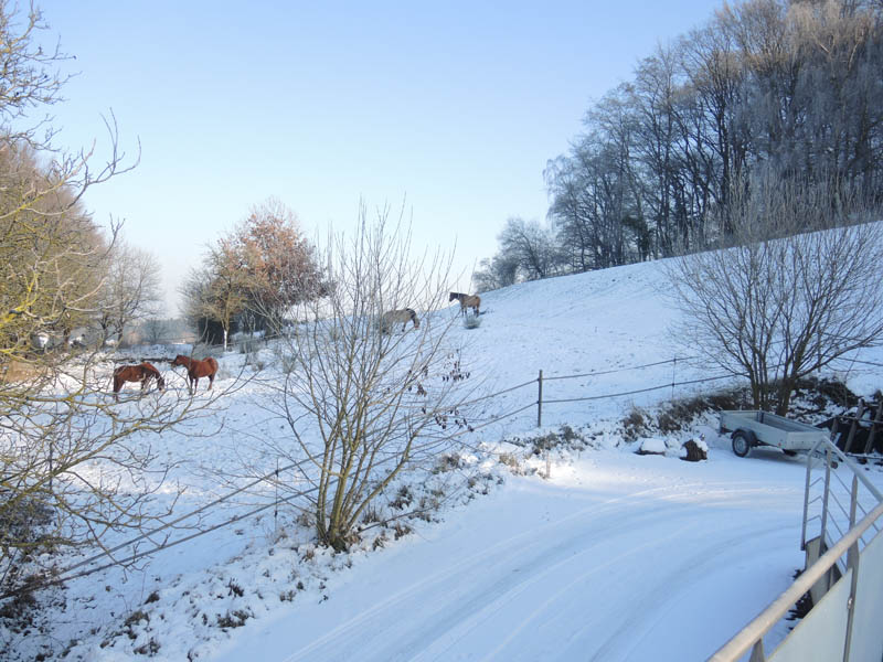 gite-varsberg-geisberg-neige-2